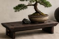 The Horizon Dai | Handcrafted Japanese Wood Display Riser | Shou Sugi Ban Akamatsu Pine | Horizon Collection